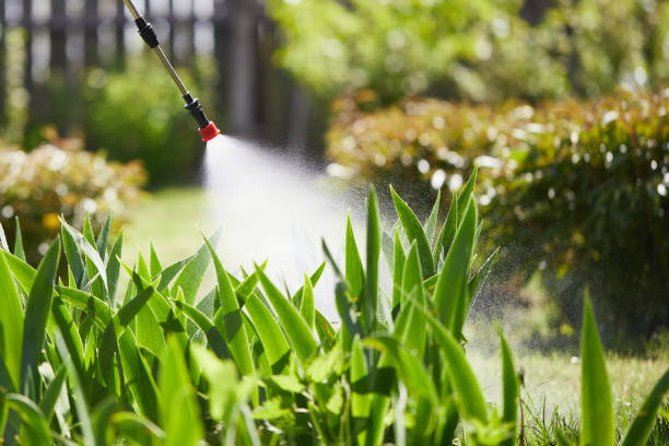 Tamper-Resistant Bait Stations for Rodents in West Hurley
